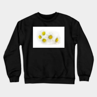 Blooming Daisies Crewneck Sweatshirt